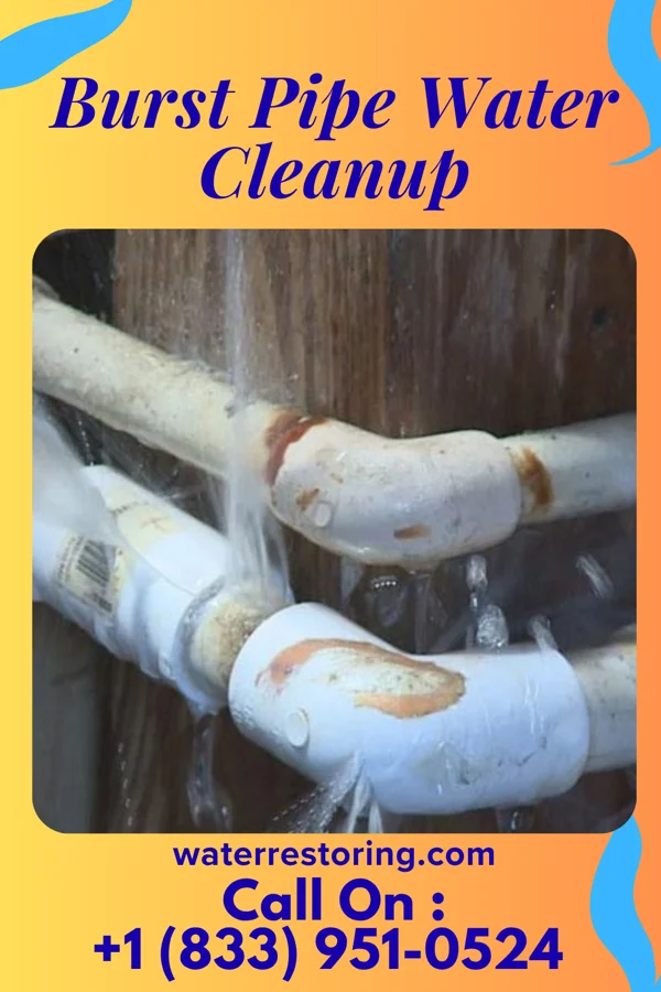 Burst Pipe Water Cleanup in Lublin, WI