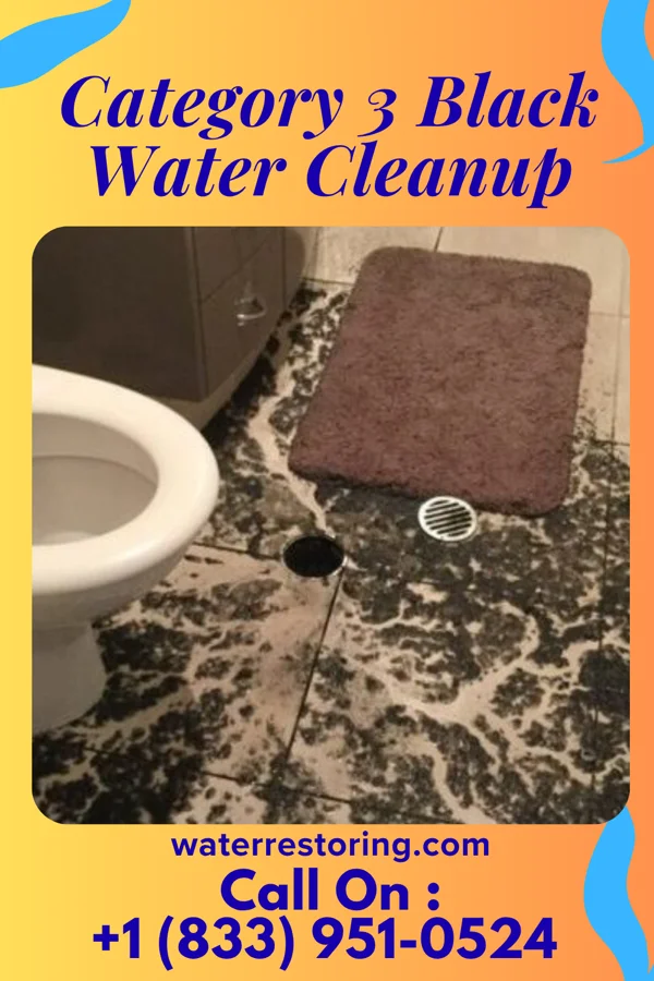Category 3 Black Water Cleanup in Lublin, WI