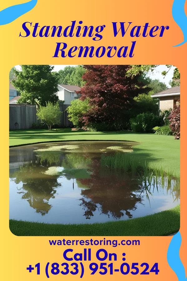 Standing Water Removal in Lublin, WI